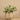 Greenery-Potted Silver Fall-Bloomr