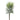 Greenery-Succulent-Bloomr
