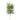 Greenery-Succulent-Bloomr