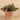 Plants-Artificial Potted Dark Vanilla Leaf Plant (Discontinued)-Bloomr