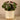 Plants-Artificial Potted Ligularia-Bloomr