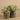 Plants-Artificial Potted Silver Falls (Discontinued)-Bloomr