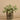Plants-Artificial Potted Silver Falls (Discontinued)-Bloomr