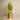 Plants-Artificial Sansevieria Plant-Bloomr