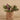 Plants-Artificial Potted Dark Vanilla Leaf Plant (Discontinued)-Bloomr