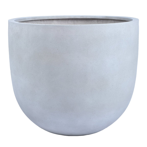 أصيص أشجار فيكونستون دائري كبير