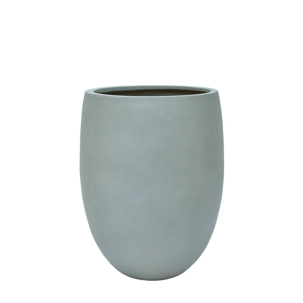 أصيص أشجار فيكونستون دائري صغير