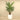 Trees-Artificial Palm Tree <br> 210cm-Bloomr