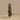 Trees-Medium Potted Spiral Boxwood <br> 135cm-Bloomr