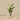 Trees-Artificial Strelitzia Tree 155cm-Bloomr