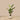 Trees-Artificial Strelitzia Tree 155cm-Bloomr