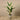 Trees-Artificial Strelitzia Tree 155cm-Bloomr