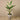 Trees-Artificial Strelitzia Tree 155cm-Bloomr