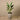 Trees-Artificial Strelitzia Tree 120cm-Bloomr