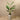Trees-Artificial Strelitzia Tree 155cm-Bloomr