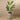 Trees-Artificial Strelitzia Tree 155cm-Bloomr