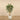 Luxury Artificial Acacia Trees
