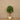 Luxury Artificial Schefflera Trees
