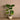 Luxury Artificial Taro Trees