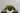 artificial-plants