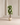 Luxury Artificial Wisteria Trees