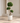Luxury Artificial Ficus Trees