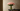 Artificial Flowers