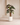 Luxury Artificial Alocasia Trees