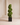 Luxury Artificial Boxwood Trees