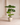 Luxury Artificial Taro Trees