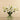 Calla & Lily Arrangements