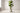 Luxury Artificial Trees