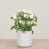 Floral Arrangement-Artificial Cabbage Rose Plant-Bloomr