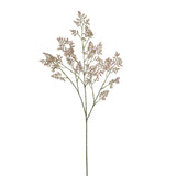 -Limonium Spray-Bloomr