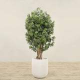 Trees-Artificial Aralia Tree <br> 150cm-Bloomr