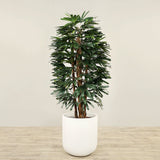 Artificial Finger Palm Tree <br> 180cm