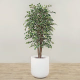 Artificial Ficus Deluxe Exotica Tree <br> 180cm