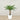 Trees-Artificial Phoenix Palm Tree 120cm-Bloomr