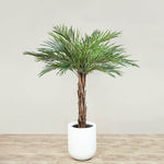 Trees-Artificial Phoenix Palm Tree <br> 150cm-Bloomr