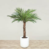 Trees-Artificial Phoenix Palm Tree <br> 150cm-Bloomr