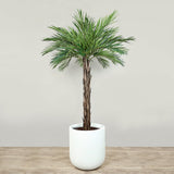 Trees-Artificial Phoenix Palm Tree <br> 180cm-Bloomr