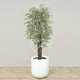 Artificial Mini Ficus Tree <br> 210cm