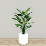 Trees-Artificial Bird of Paradise <br> 120cm-Bloomr