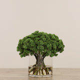 Artificial Sedum Arrangement in Glass Vase