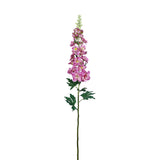 Flowers-Larkspur-Bloomr