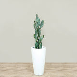 Artificial Cactus Plant <br> 095cm