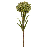 Pincushion Stem