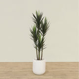 Artificial Yucca Plant 180cm