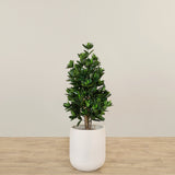 Artificial Sweet Link Tree Topiary 110cm