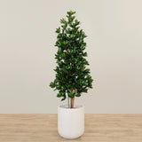 Artificial Sweet Link Topiary Tree 170cm